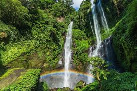 Full Day Sekumpul Waterfall & Temple Private Tour: Ulun Danu Bratan,Taman Ayun Temple and More - Image 3